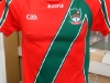 http://stmartinsgaa.ie/wp-content/gallery/gear-store/thumbs/thumbs_st-martins-jersey-front.jpg